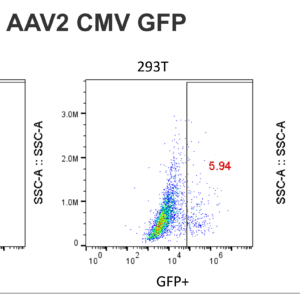 aav cmv gfp