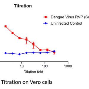 dengue virus reporter virus particle (rvp) with renilla luciferase reporter (type 1)