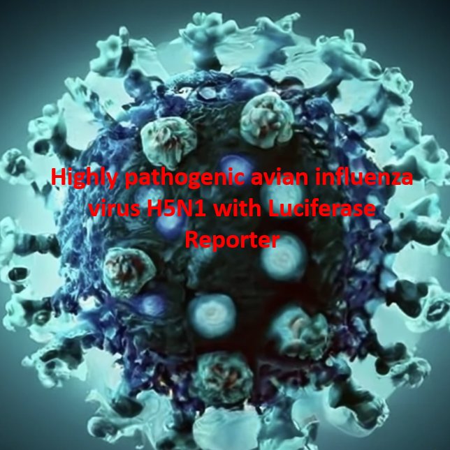 Home gallery picture2