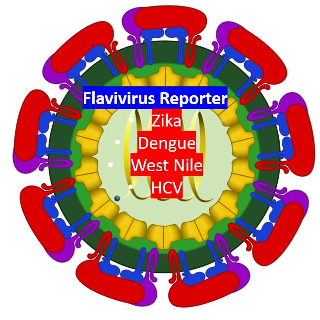 Home gallery picture3