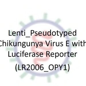 lenti pseudotyped chikungunya virus e with luciferase reporter (lr2006 opy1)
