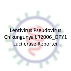 lenti pseudotyped chikungunya virus e with luciferase reporter (lr2006 opy1)