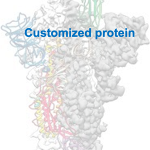 protein customized