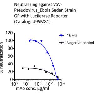 anti ebola sudv glycoprotein base monoclonal neutralizing antibody (16f6 similar)