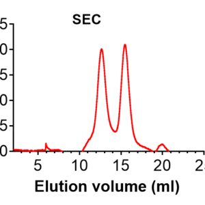 monkeypox virus trimeric a29 protein (2022 strain, his tag)
