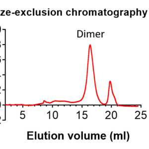 monkeypox virus dimeric a35r protein (2022 strain, myc and his tags)
