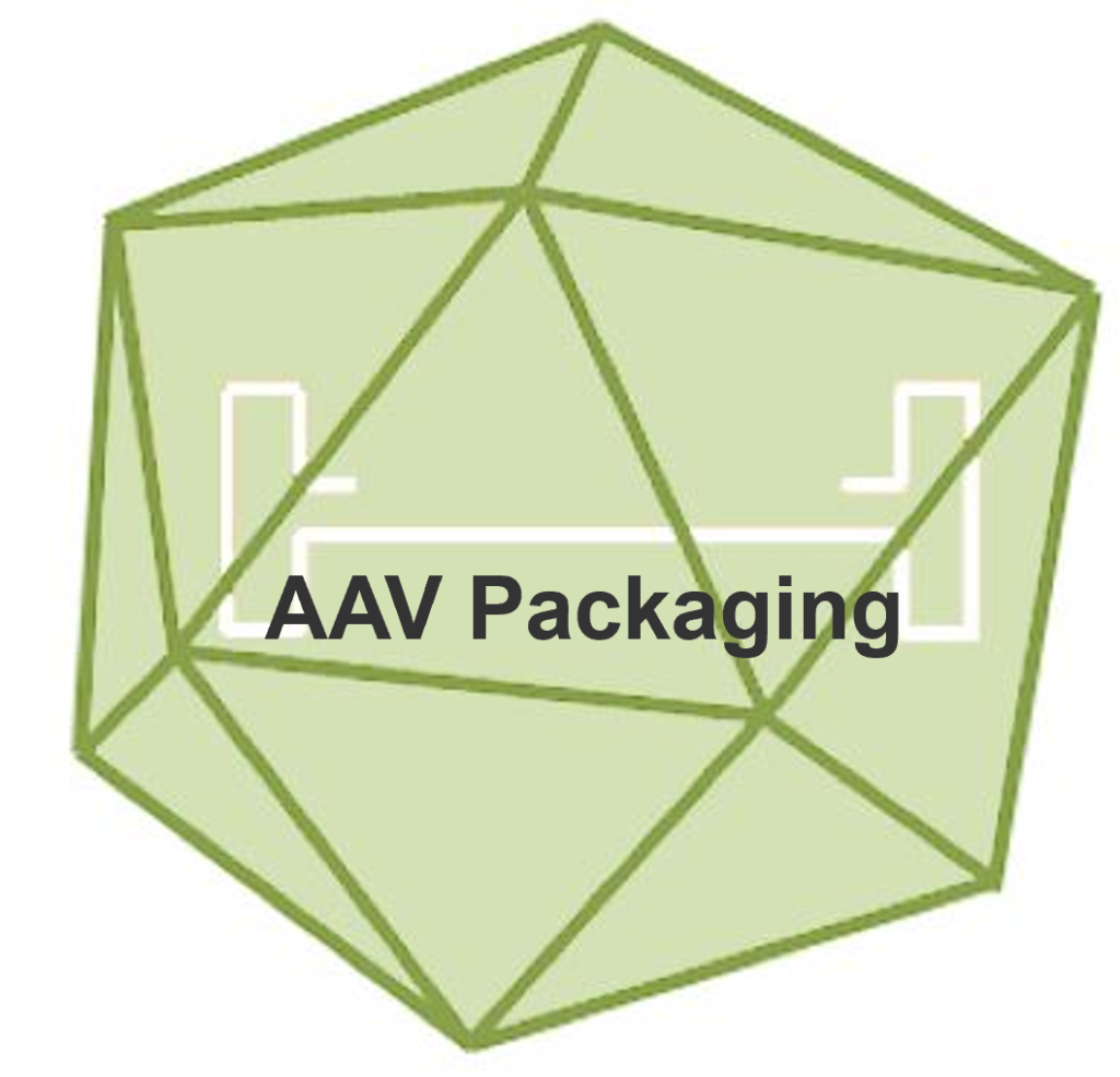 aav packaging