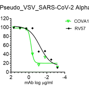 vsv pseudovirus sars cov 2 b.1.1.7 (alpha strain) spike with luciferase reporter