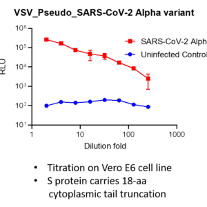 vsv pseudovirus sars cov 2 b.1.1.7 (alpha strain) spike with luciferase reporter