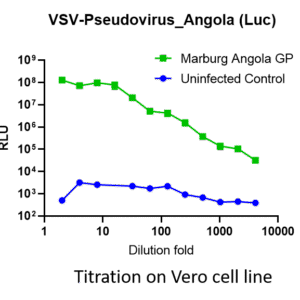 marburg vsv pseudovirus angola strain gp with luciferase reporter