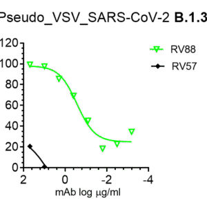 vsv pseudovirus sars cov 2 b.1.351 (beta strain) spike with luciferase reporter