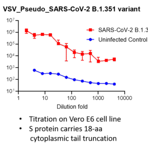 vsv pseudovirus sars cov 2 b.1.351 (beta strain) spike with luciferase reporter