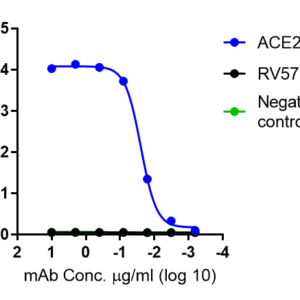 spike receptor binding domain (rbd) of sars cov 2 omicron ba.2.12.1 (his tag)