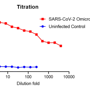 vsv pseudovirus sars cov 2 omicron ba.4/5 strain spike with luciferase reporter