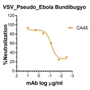 vsv pseudovirus bombali ebola gp with luciferase reporter (copy)