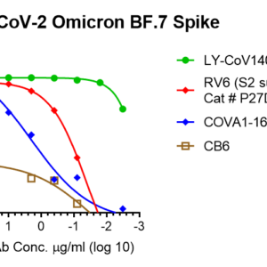 vsv pseudovirus sars cov 2 omicron ba.2.75 strain spike with luciferase reporter (copy)