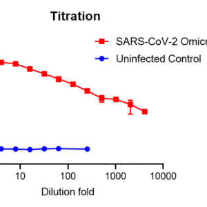 vsv pseudovirus sars cov 2 omicron ba.2.75 strain spike with luciferase reporter (copy)