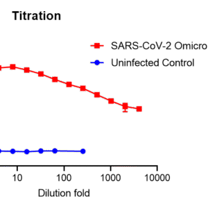 vsv pseudovirus sars cov 2 omicron bq.1.1 strain spike with luciferase reporter