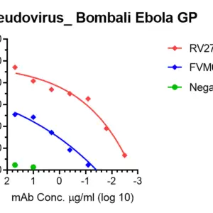 vsv pseudovirus bombali ebola gp with luciferase reporter
