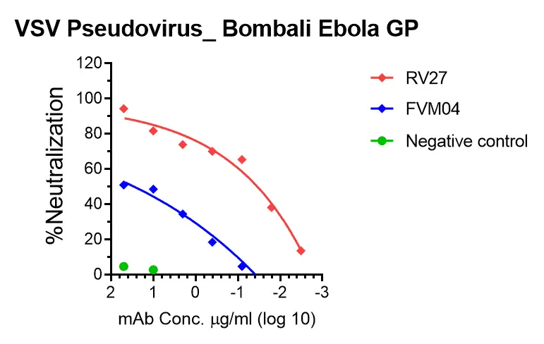 vsv pseudovirus bombali ebola gp with luciferase reporter vsv pseudovirus bombali ebola gp with luciferase reporter