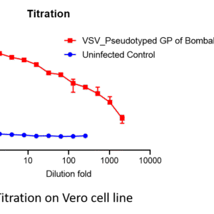 vsv pseudovirus bombali ebola gp with luciferase reporter