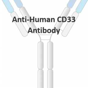 anti human cd33 monoclonal antibody