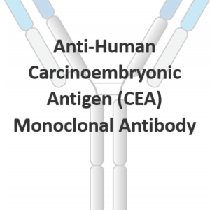 anti human carcinoembryonic antigen (cea) monoclonal antibody