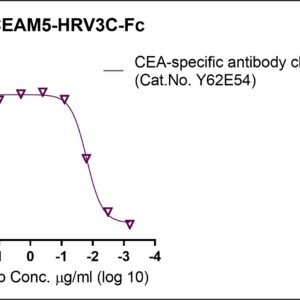 human carcinoembryonic antigen (cea) protein, fc tag or tag free