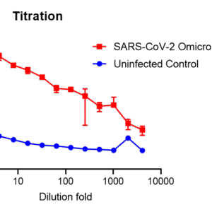 vsv pseudovirus sars cov 2 omicron ch.1.1 strain spike with luciferase reporter