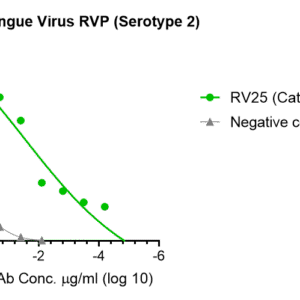 dengue virus reporter virus particle (rvp) with renilla luciferase reporter (type 2)