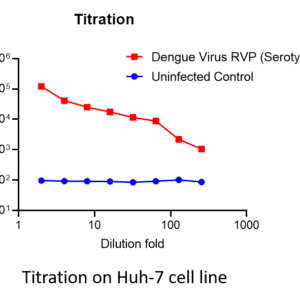 dengue virus reporter virus particle (rvp) with renilla luciferase reporter (type 2)