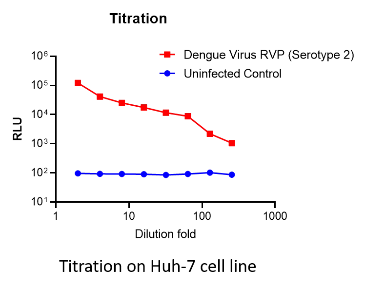 dengue virus reporter virus particle (rvp) with renilla luciferase reporter (type 2) dengue virus reporter virus particle (rvp) with renilla luciferase reporter (type 2)