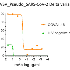 vsv pseudovirus sars cov 2 b.1.617.2 (delta strain) spike with luciferase reporter