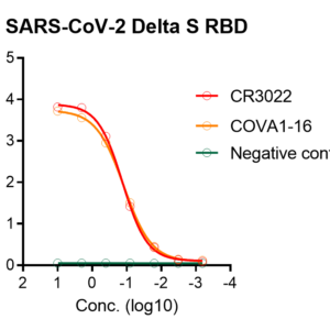 sars cov 2 delta spike receptor binding domain (rbd) (his tag)