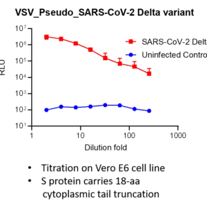 vsv pseudovirus sars cov 2 b.1.617.2 (delta strain) spike with luciferase reporter