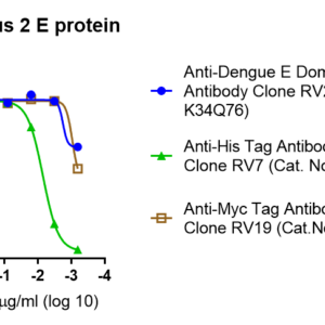 dengue virus 2 e protein – myc and his tags