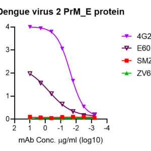 dengue virus 2 prm e protein – myc and his tags