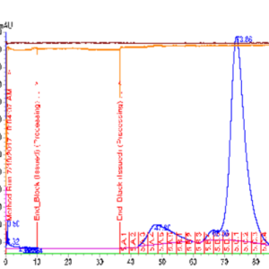 dengue virus 2 prm e protein – myc and his tags