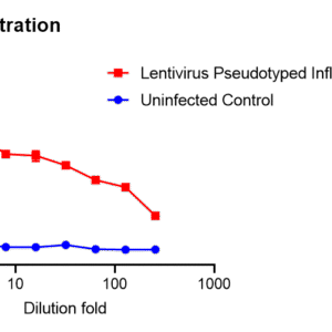 lentivirus pseudotyped influenza a hpai h5n1 virus hanam with luciferase reporter (clade 2.3.4.4b, 2022 strain)