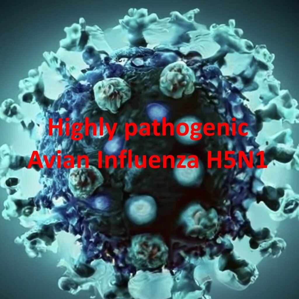 gallery picture for h5n1