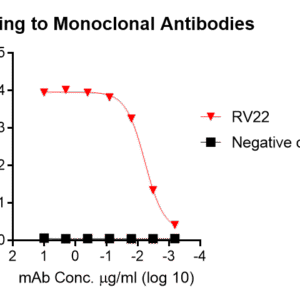 human anti cytomegalovirus gb protein antibody igg titer serologic assay kit