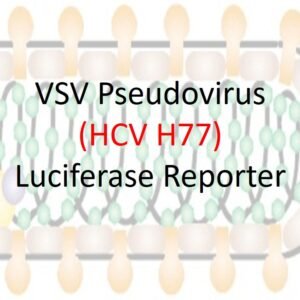 vsv pseudotyped hcv e1e2 with luciferase reporter (h77 strain)