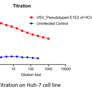 vsv pseudotyped hcv e1e2 with luciferase reporter (h77 strain)