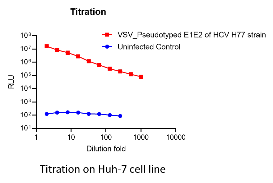 vsv pseudotyped hcv e1e2 with luciferase reporter (h77 strain) vsv pseudotyped hcv e1e2 with luciferase reporter (h77 strain)