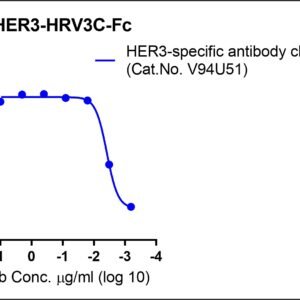 human erbb3 / her3 protein fc tag or tag free