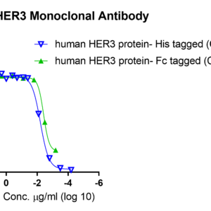 anti human her3 monoclonal antibody