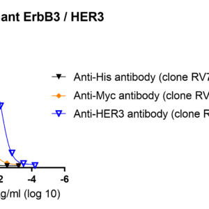 human erbb3 / her3 protein myc/his tag or tag free
