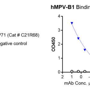 human anti metapneumovirus (hmpv) fusion (f) protein antibody igg titer serologic assay kit