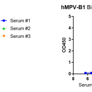 human anti metapneumovirus (hmpv) fusion (f) protein antibody igg titer serologic assay kit