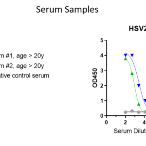 human anti herpes simplex virus (hsv) gd protein antibody igg titer serologic assay kit (subtypes 1&2)
